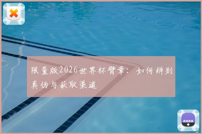 限量版2026世界杯臂章：如何辨别真伪与获取渠道