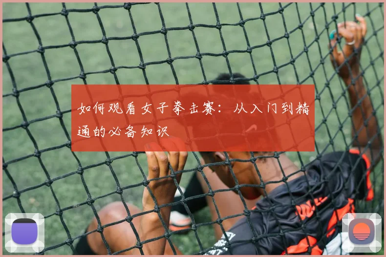 如何观看女子拳击赛：从入门到精通的必备知识