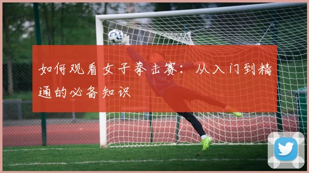 如何观看女子拳击赛:从入门到精通的必备知识
